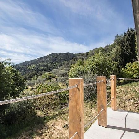 Bas De Villa Au Milieu Des Oliviers. Chateauneuf-Villevieille Ngoại thất bức ảnh