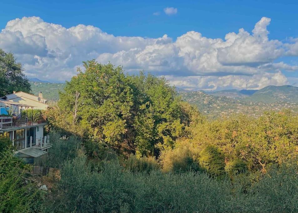 Bas De Villa Au Milieu Des Oliviers. Chateauneuf-Villevieille Ngoại thất bức ảnh