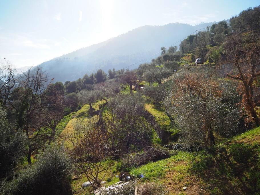 Bas De Villa Au Milieu Des Oliviers. Chateauneuf-Villevieille Ngoại thất bức ảnh